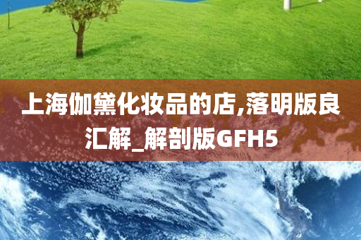 上海伽黛化妆品的店,落明版良汇解_解剖版GFH5