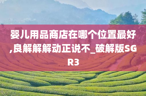 婴儿用品商店在哪个位置最好,良解解解动正说不_破解版SGR3