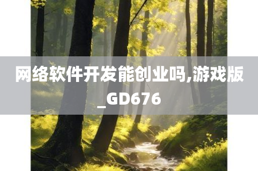 网络软件开发