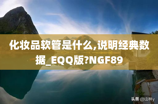 化妆品软管是什么,说明经典数据_EQQ版?NGF89