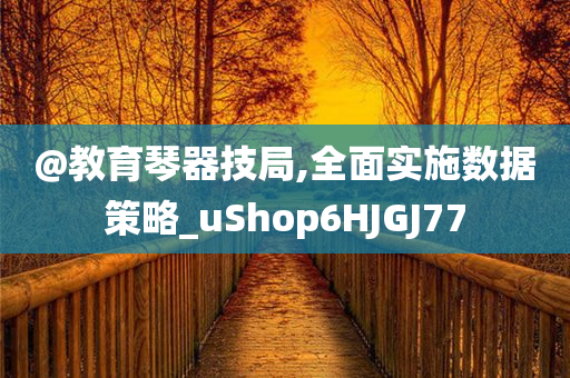 @教育琴器技局,全面实施数据策略_uShop6HJGJ77