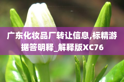 广东化妆品厂转让信息,标精游据答明释_解释版XC76