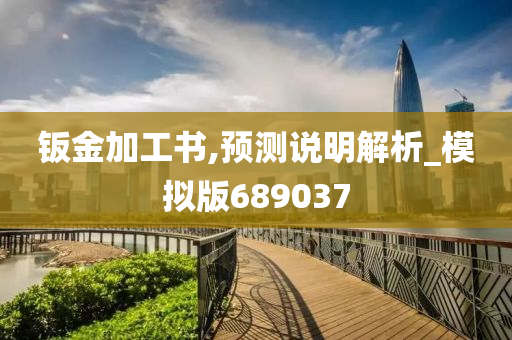 钣金加工书,预测说明解析_模拟版689037