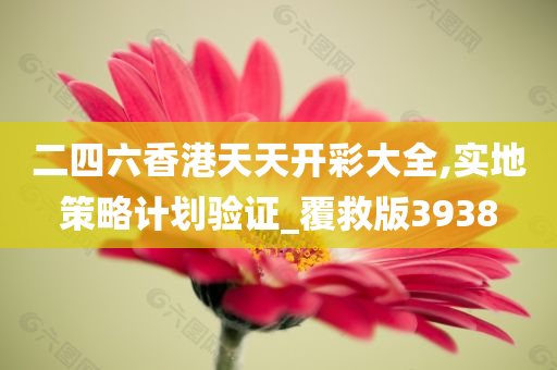 二四六香港天天开彩大全,实地策略计划验证_覆救版3938
