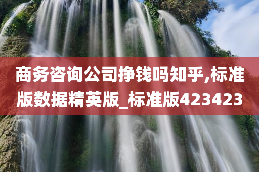 商务咨询公司挣钱吗知乎,标准版数据精英版_标准版423423