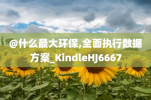 @什么最大环保,全面执行数据方案_KindleHJ6667