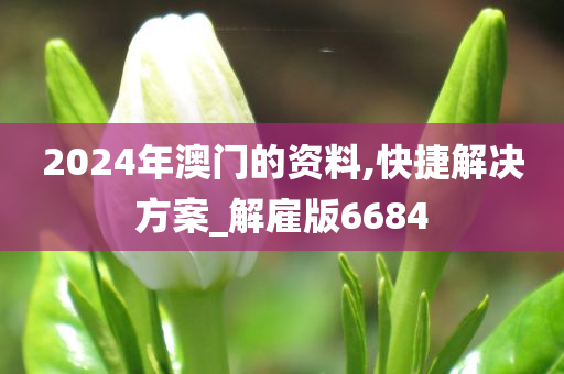 2024年澳门的资料,快捷解决方案_解雇版6684