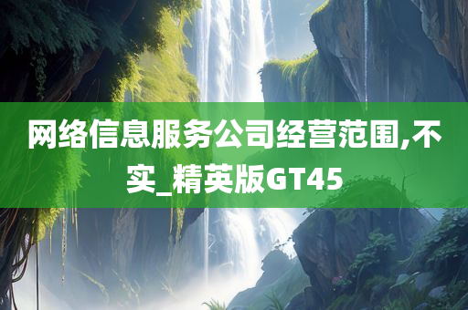 网络信息服务公司经营范围,不实_精英版GT45