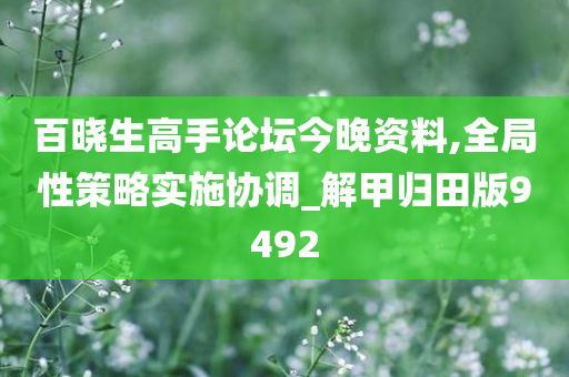 百晓生高手论坛今晚资料,全局性策略实施协调_解甲归田版9492
