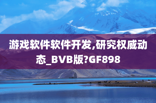 游戏软件软件开发,研究权威动态_BVB版?GF898