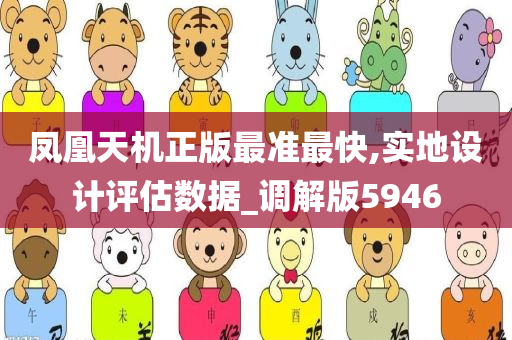 凤凰天机正版最准最快,实地设计评估数据_调解版5946