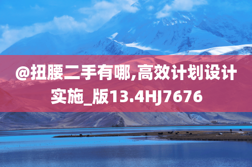 @扭腰二手有哪,高效计划设计实施_版13.4HJ7676