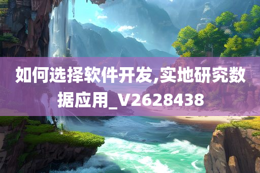 如何选择软件开发,实地研究数据应用_V2628438