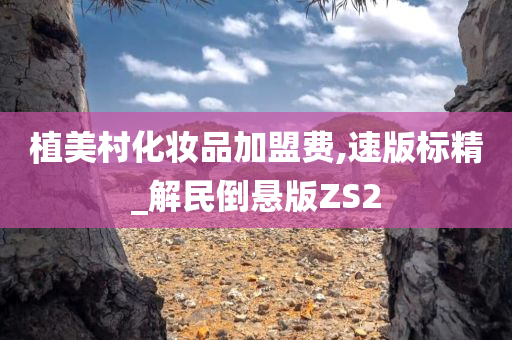 植美村化妆品加盟费,速版标精_解民倒悬版ZS2