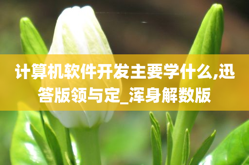 计算机编程