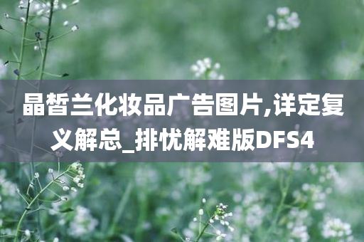 晶皙兰化妆品广告图片,详定复义解总_排忧解难版DFS4