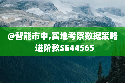 @智能市中,实地考察数据策略_进阶款SE44565