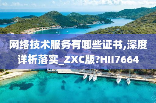 网络技术服务有哪些证书,深度详析落实_ZXC版?HII7664