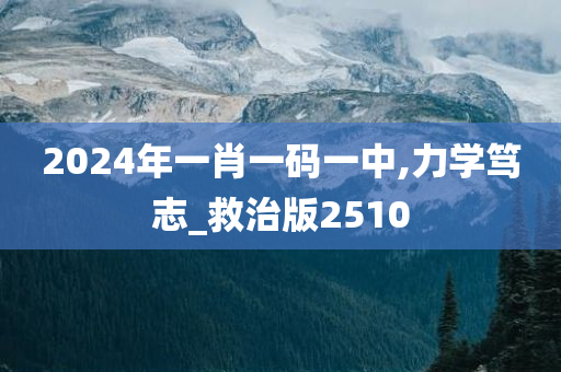 2024年一肖一码一中,力学笃志_救治版2510