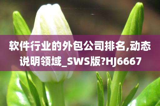 软件行业的外包公司排名,动态说明领域_SWS版?HJ6667