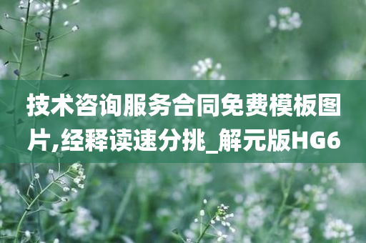 技术咨询服务合同免费模板图片,经释读速分挑_解元版HG6