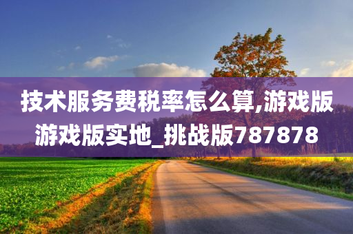 技术服务费税率怎么算,游戏版游戏版实地_挑战版787878