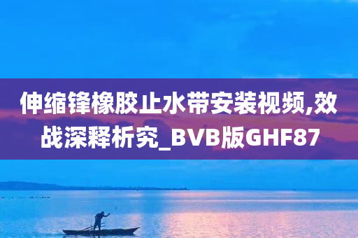 伸缩锋橡胶止水带安装视频,效战深释析究_BVB版GHF87