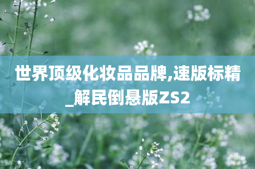 世界顶级化妆品品牌,速版标精_解民倒悬版ZS2