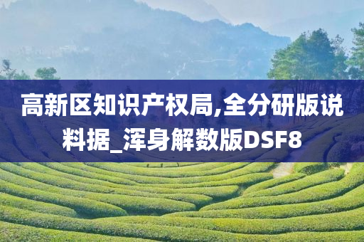 高新区知识产权局,全分研版说料据_浑身解数版DSF8