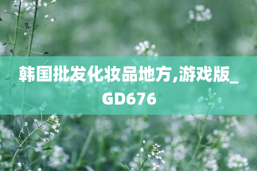 韩国批发化妆品地方,游戏版_GD676