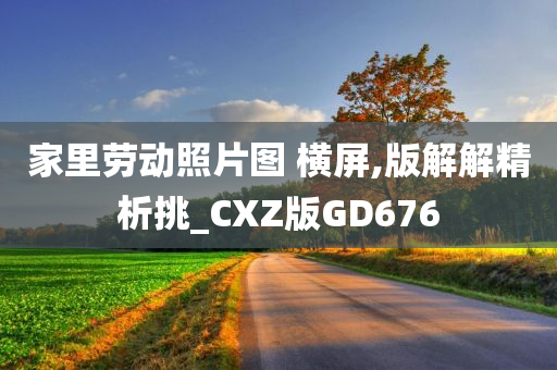 家里劳动照片图 横屏,版解解精析挑_CXZ版GD676