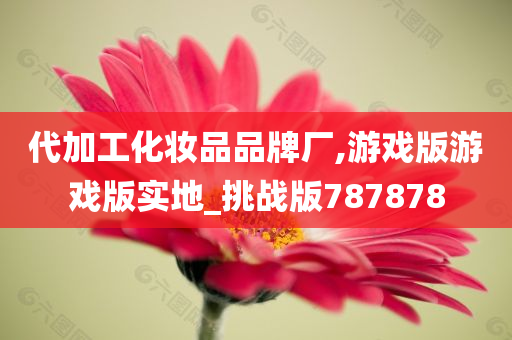 代加工化妆品品牌厂,游戏版游戏版实地_挑战版787878