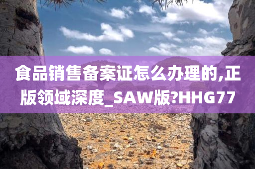 食品销售备案证怎么办理的,正版领域深度_SAW版?HHG77