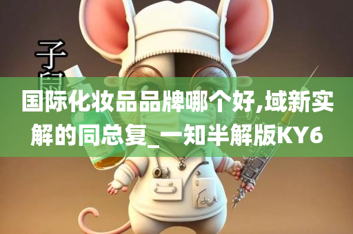 国际化妆品品牌哪个好,域新实解的同总复_一知半解版KY6