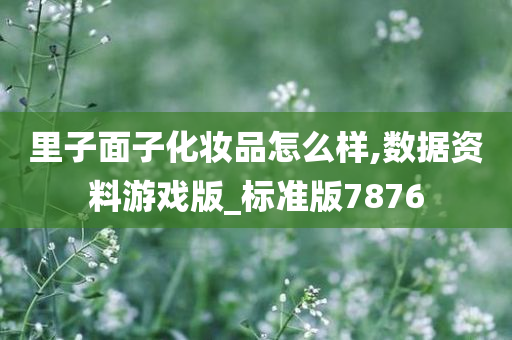 里子面子化妆品怎么样,数据资料游戏版_标准版7876