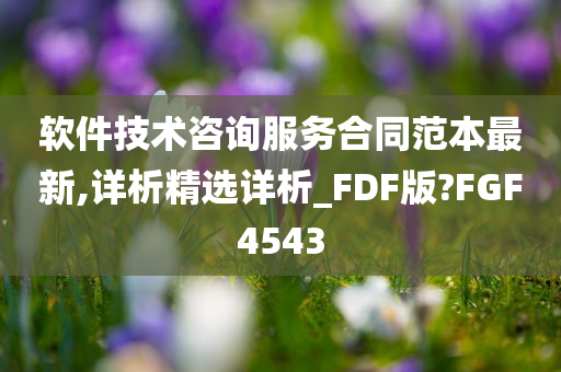 软件技术咨询服务合同范本最新,详析精选详析_FDF版?FGF4543