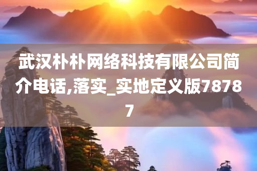 武汉朴朴网络科技有限公司简介电话,落实_实地定义版78787