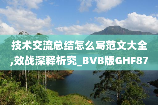 技术交流总结怎么写范文大全,效战深释析究_BVB版GHF87