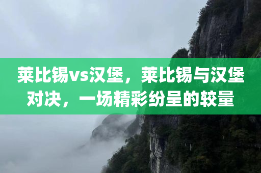 莱比锡vs汉堡，莱比锡与汉堡对决，一场精彩纷呈的较量