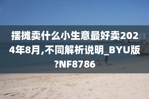 摆摊卖什么小生意最好卖2024年8月,不同解析说明_BYU版?NF8786