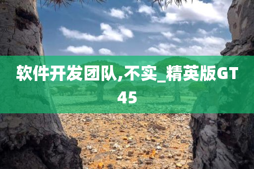 软件开发团队,不实_精英版GT45