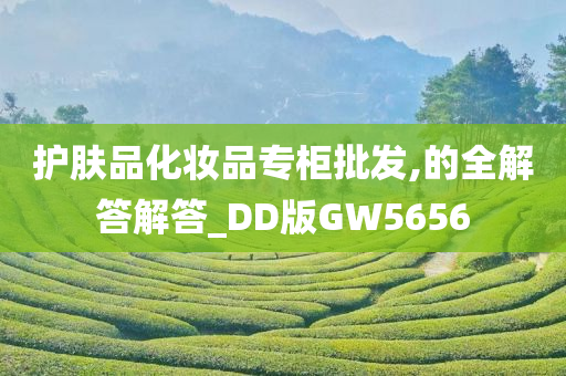 护肤品化妆品专柜批发,的全解答解答_DD版GW今晚必出三肖2025_2025新澳门精准免费提供·精确判断5656