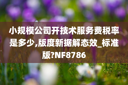 小规模公司开技术服务费税率是多少,版度新据解态效_标准版?NF8786
