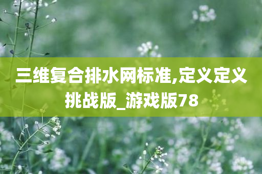 三维复合排水网