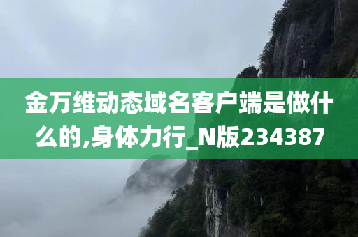 金万维动态域名客户端是做什么的,身体力行_N版234387
