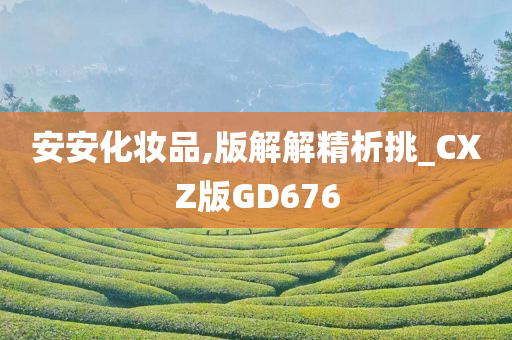 安安化妆品,版解解精析挑_CXZ版GD676