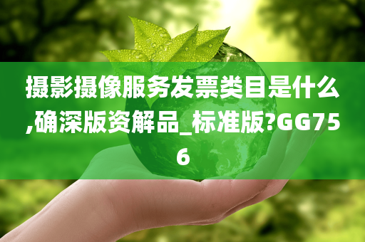 摄影摄像服务发票类目是什么,确深版资解品_标准版?GG756今晚必出三肖2025_2025新澳门精准免费提供·精确判断