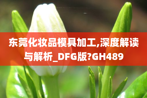 东莞化妆品模具加工,深度解读与解析_DFG版?GH489
