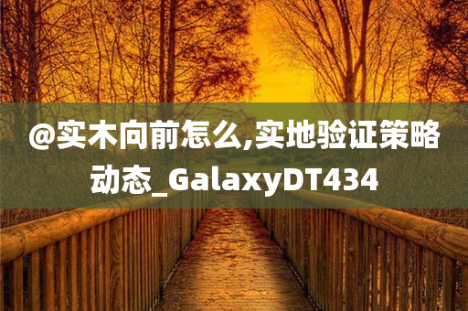 @实木向前怎么,实地验证策略动态_GalaxyDT434今晚必出三肖2025_2025新澳门精准免费提供·精确判断