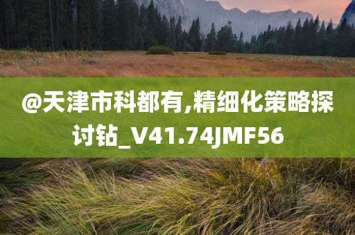 @天津市科都有,精细化策略探讨钻_V41.74JMF56